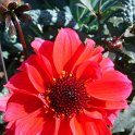 Picasa 2.7